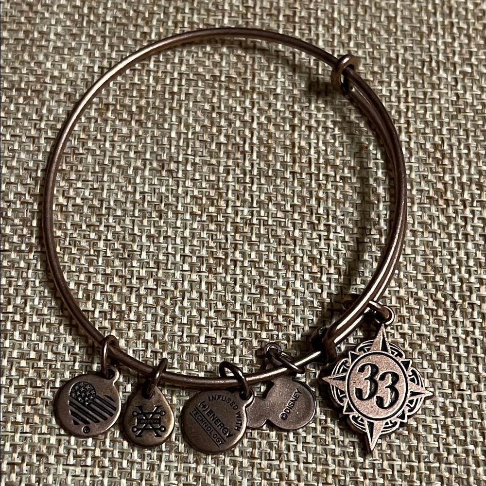 Alex and Ani Bronze Charm Bracelet Disney Class 33 - Picture 3 of 4